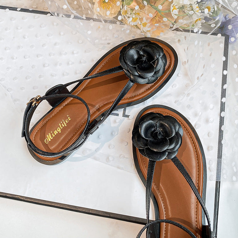 Flat Bottomed Sandals For Women | Begogi Shop |