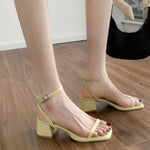 Fashion French Sandals For Women Summer |  Begogi Shop |