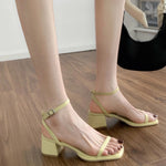 Fashion French Sandals For Women Summer |  Begogi Shop |
