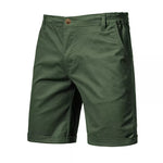 High quality men's casual shorts | Men Beach Shorts|BEGOGI SHOP | ArmyGreen
