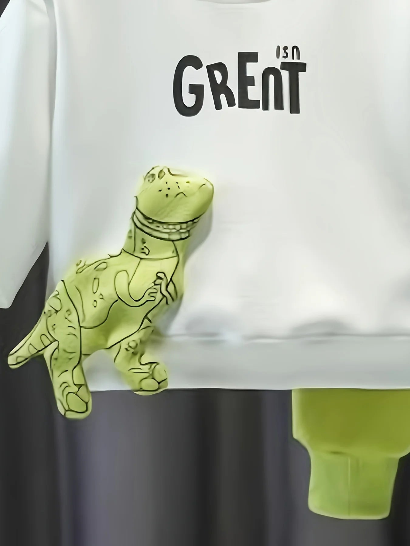 Cartoon dinosaur sweater | Pullover Top and Pants | BEGOGI SHOP|