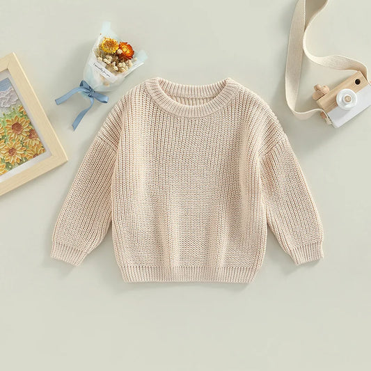 Toddler Baby Crewneck Sweaters | Long Sleeve Loose Knitted Pullovers |BEGOGI SHOP |